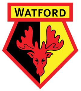 How Watford FC Built a Growing Indian Fanbase Through Grassroots Digital Engagement