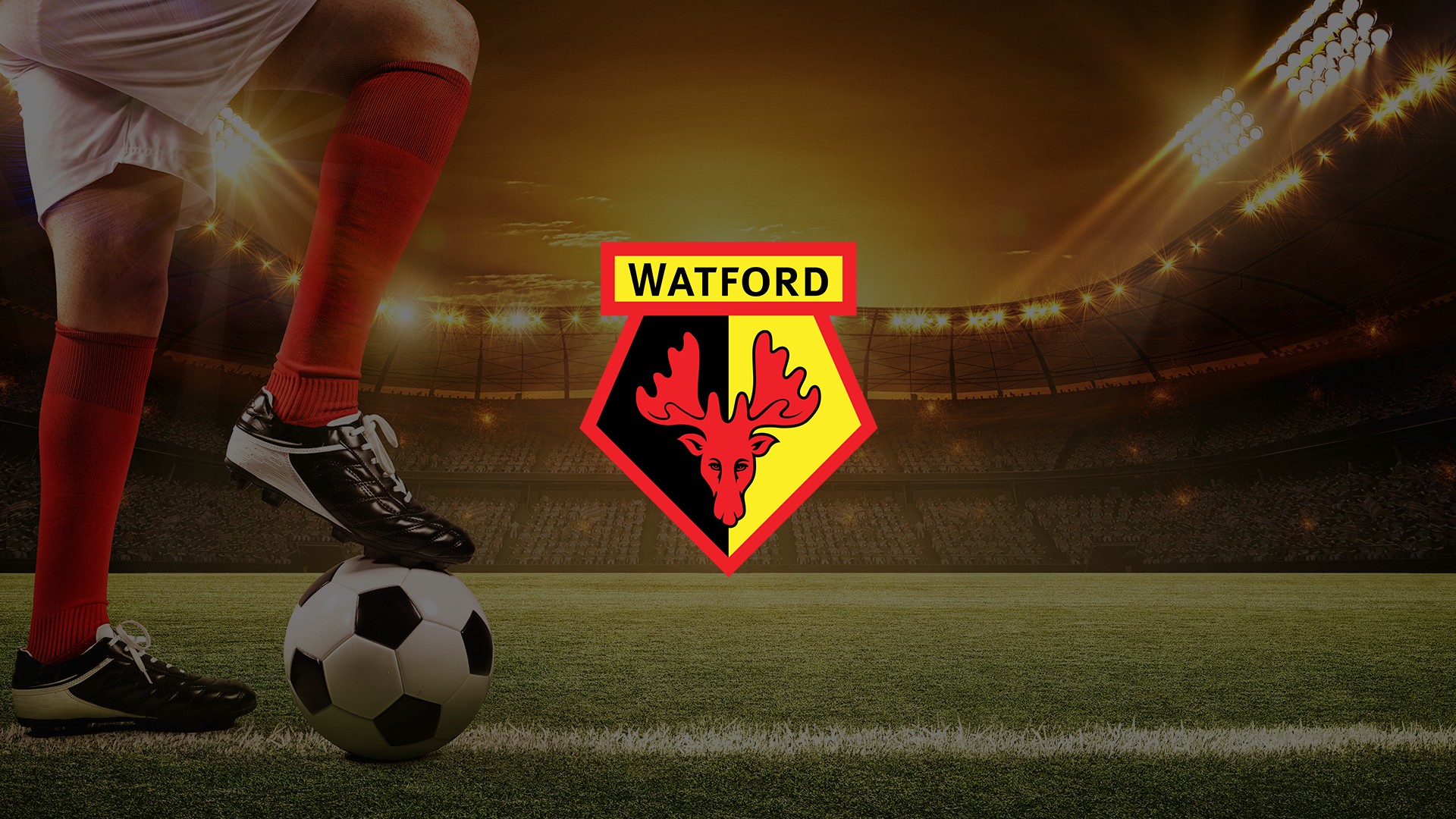 How Watford FC built a growing Indian fanbase through grassroots digital engagement